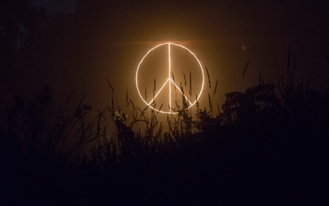 I’m Just a Hippy Peacenik