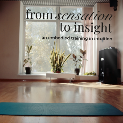 Sensation to Insight